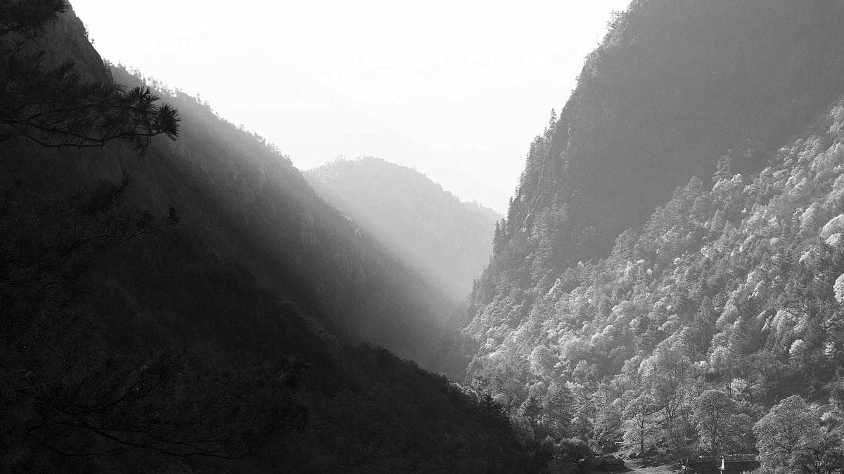 Intimate dining room at Bistrot Ha restaurant in NYC's Lower East Side