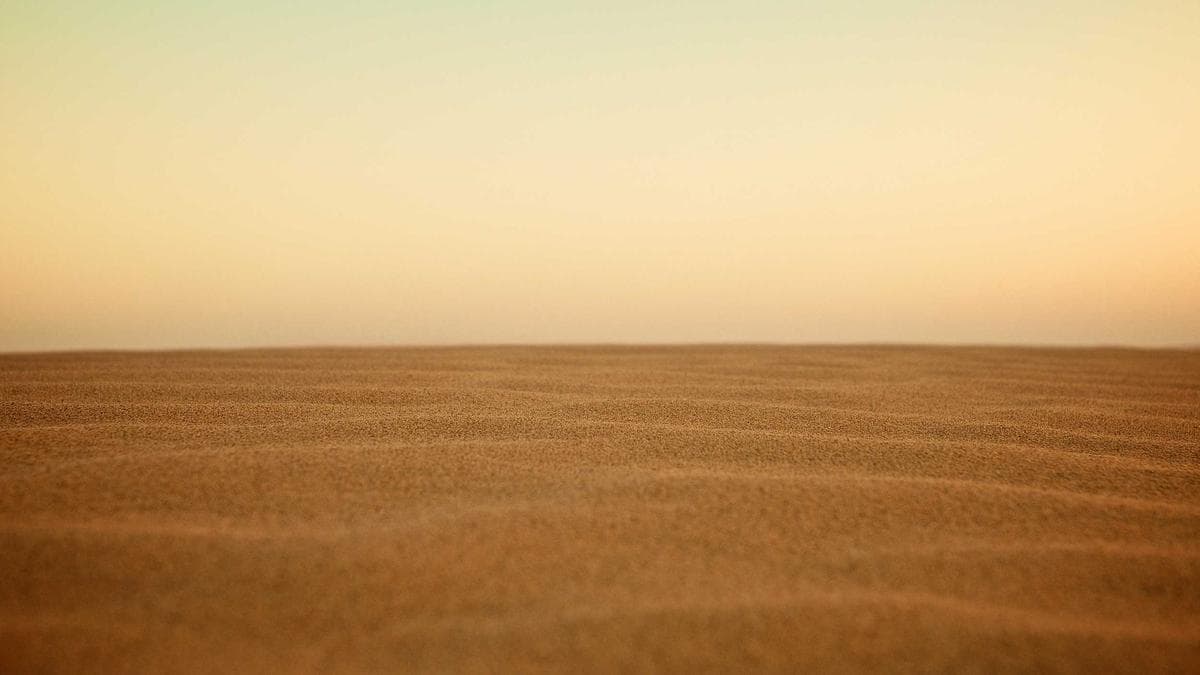 Natural wine and raw bar spread at Bufón restaurant on NYC's Lower East Side