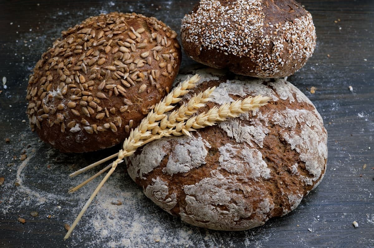 Freshly baked bagels with seeds on a counter with natural morning light
